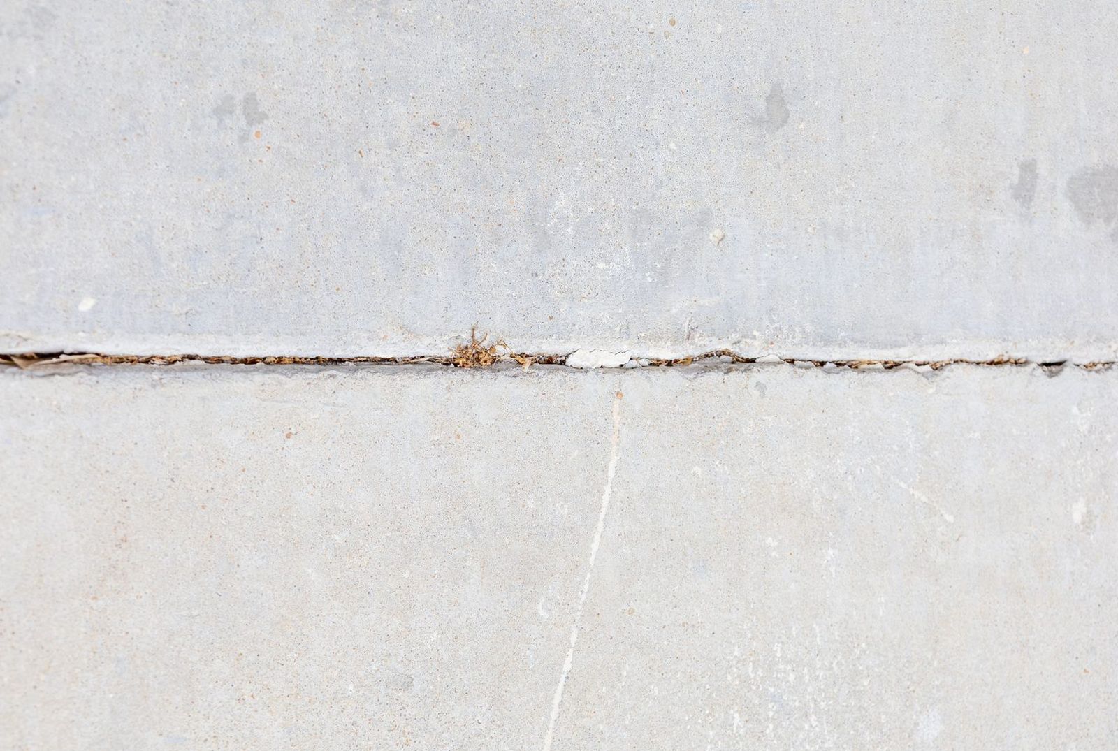 Close view of a sidewalk joint that has opened up with weeds growing through